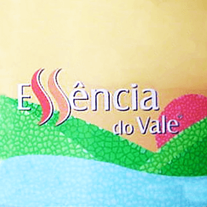 2005
